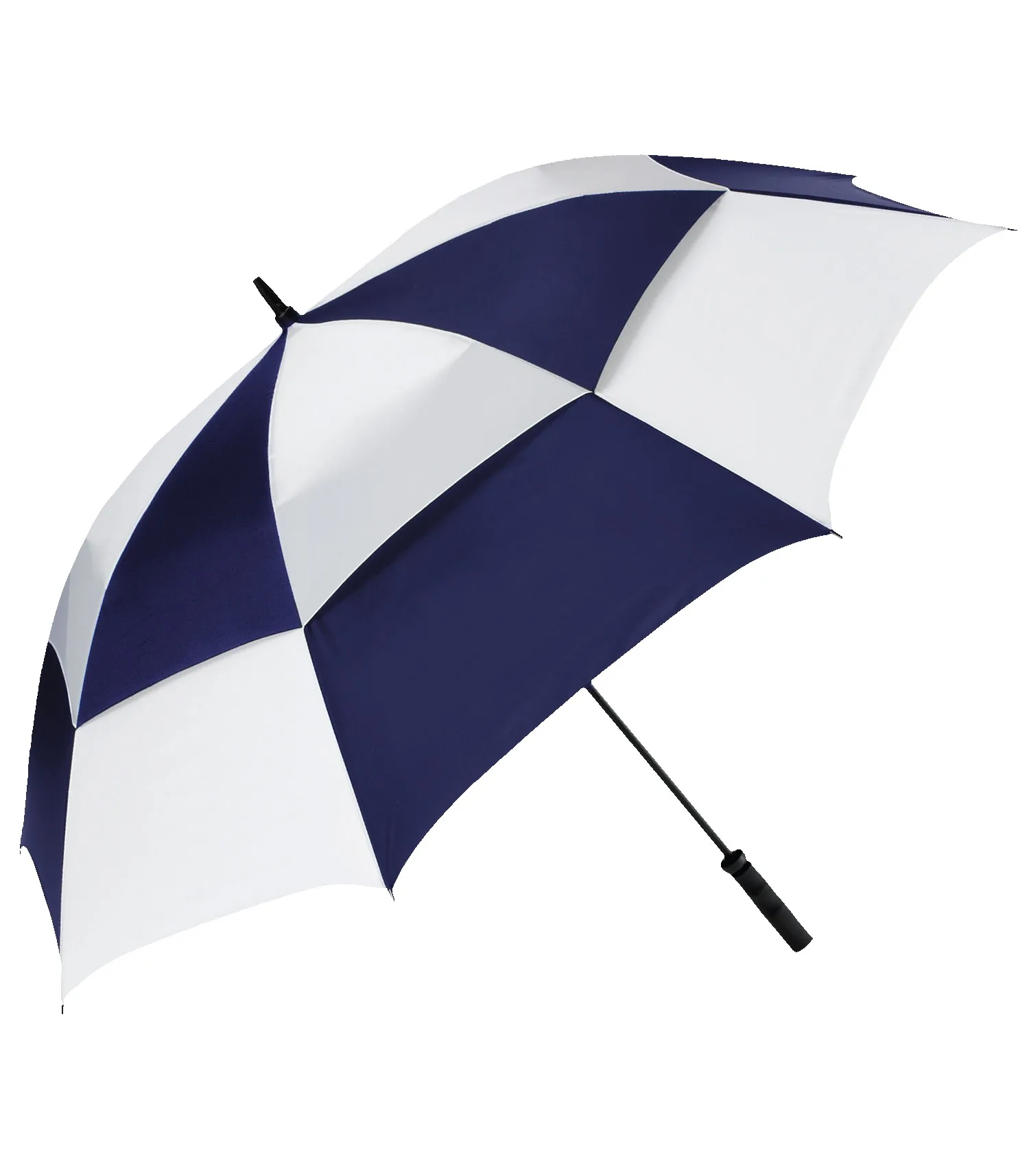The MVP Umbrella view 5