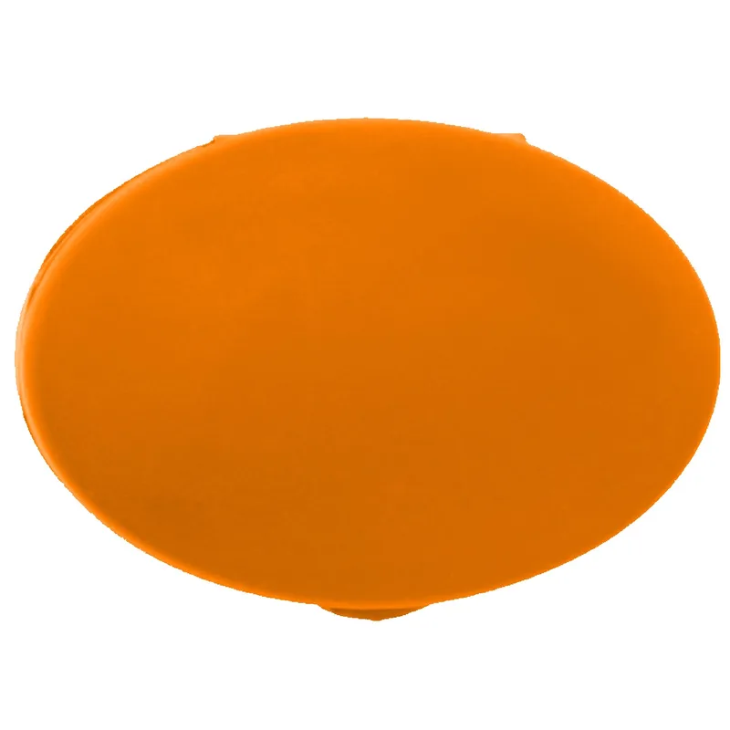 Oval Pill Case view 2