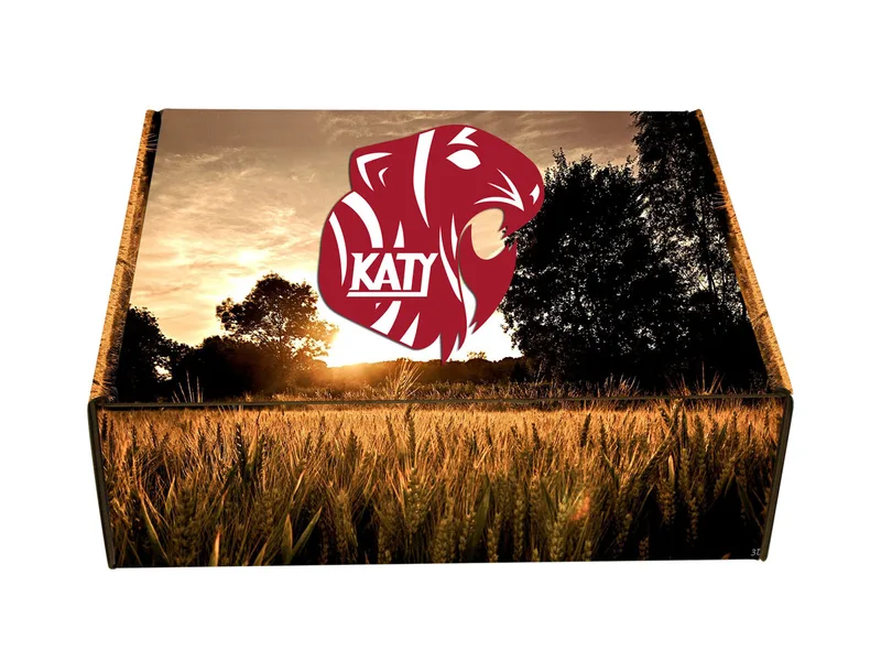 Large Die-Cut Box 3