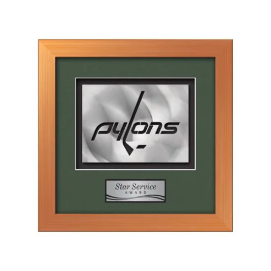 Eldridge Aquashape™ Award - Bronze
