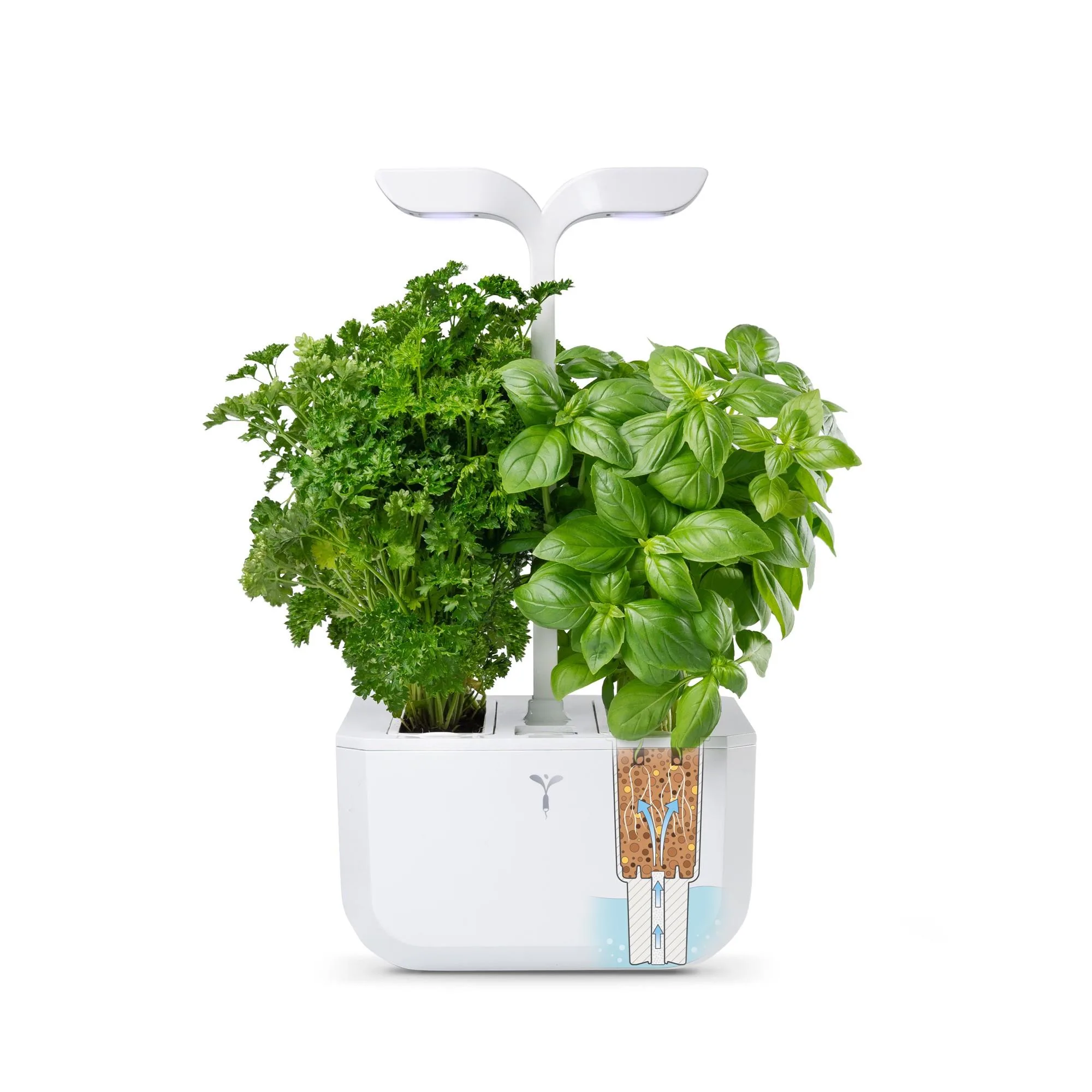 Veritable Exky Smart Indoor Garden