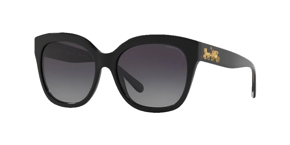 Coach Women's Polarized HC8264 Sunglasses