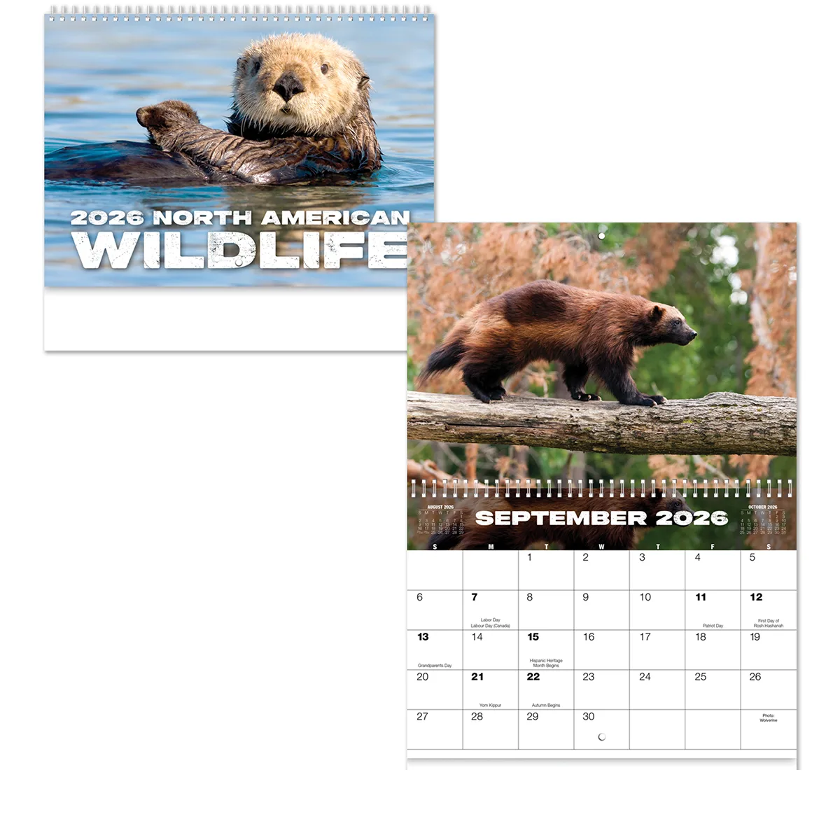 Full Color Wildlife Spiral Wall Calendar view 3