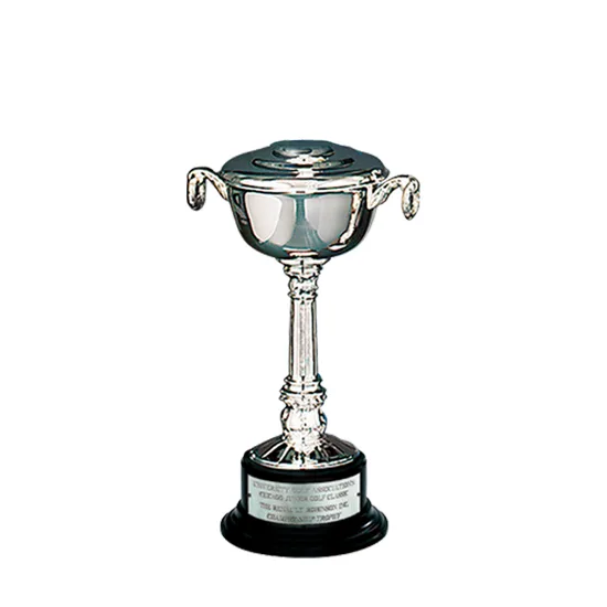 Silver-Plated Pedestal Bowl Cup view 2