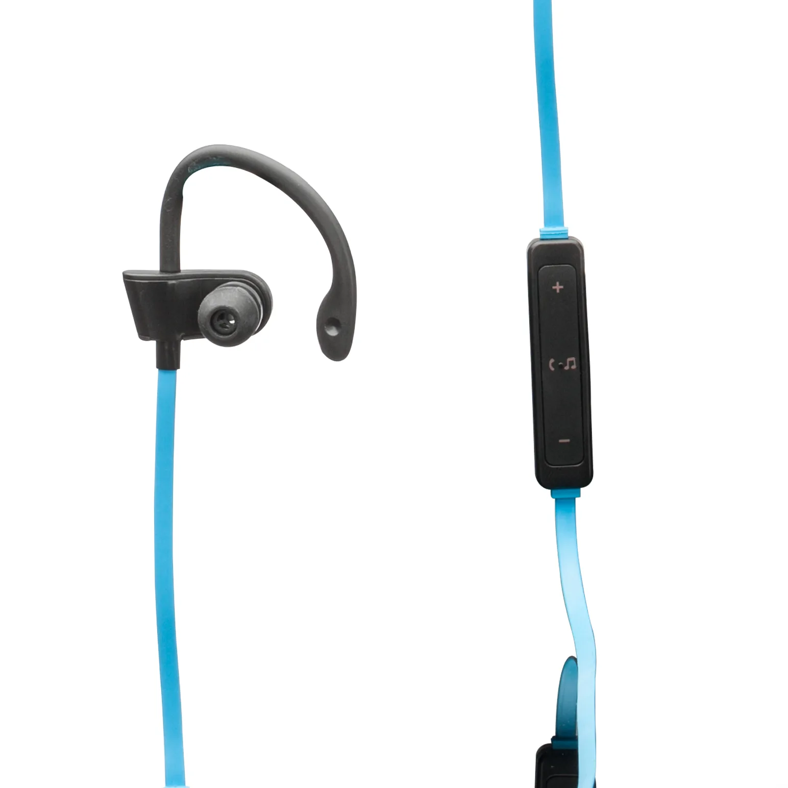 Earphone & Controller