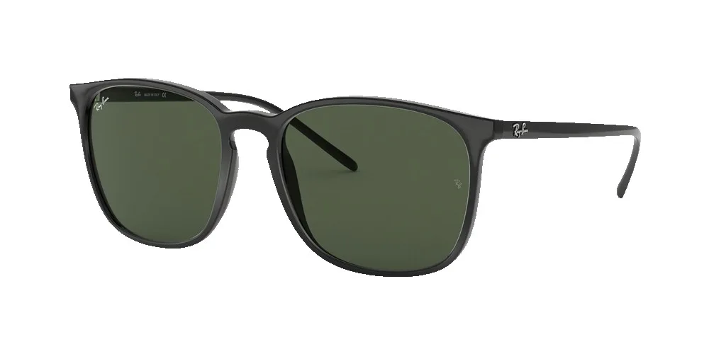 Ray-Ban RB4387 Sunglasses