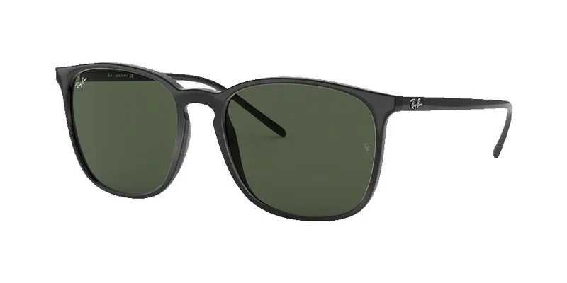 Ray-Ban RB4387 Sunglasses