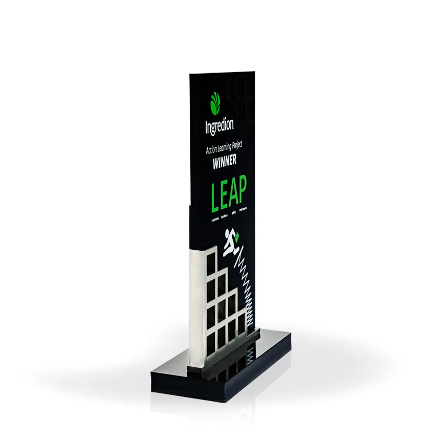 Matrix Award 11" Silver view 4