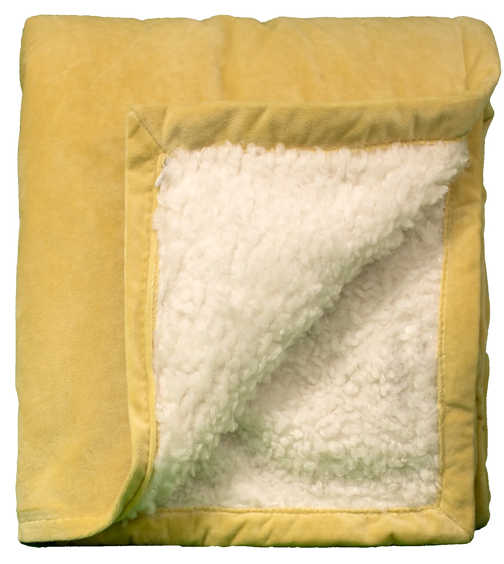 Gold Blank Inside Fold View