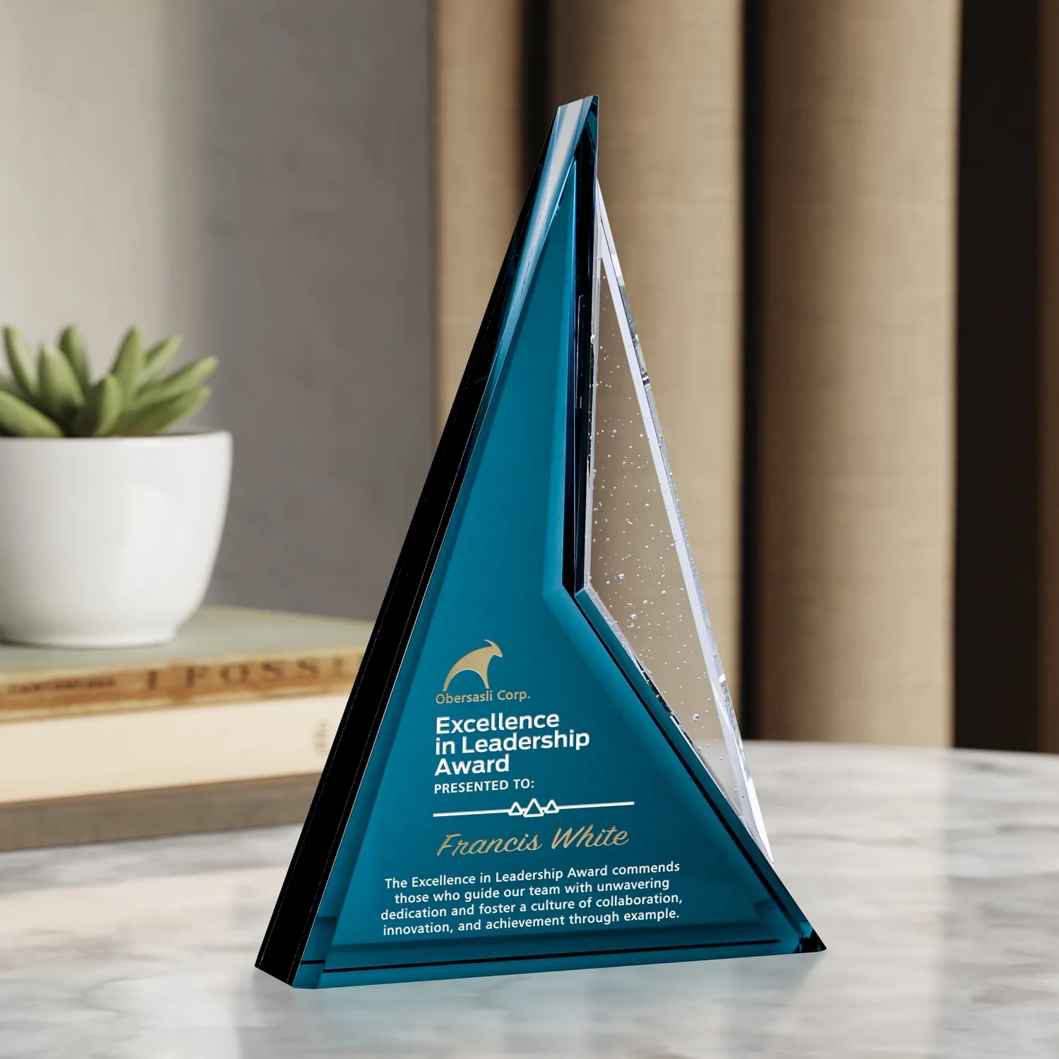 Endurance Award 10"