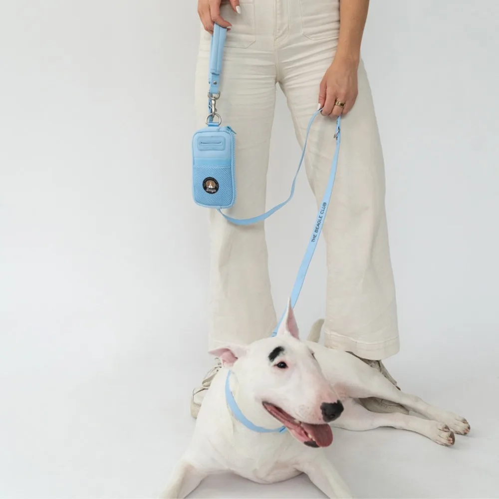 Springland Walk Bag + Dog Leash