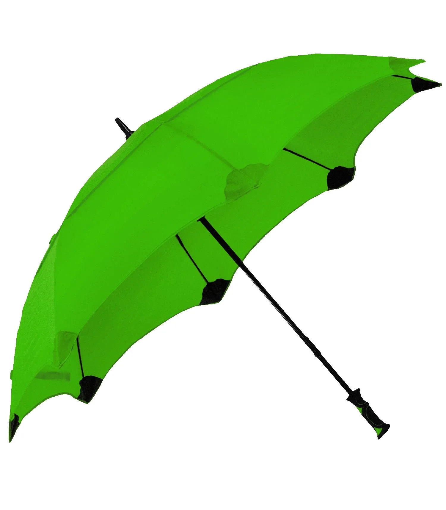 The Shield Umbrella view 2