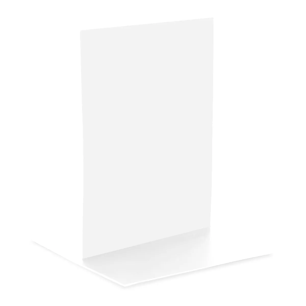 59902 WHT Blank