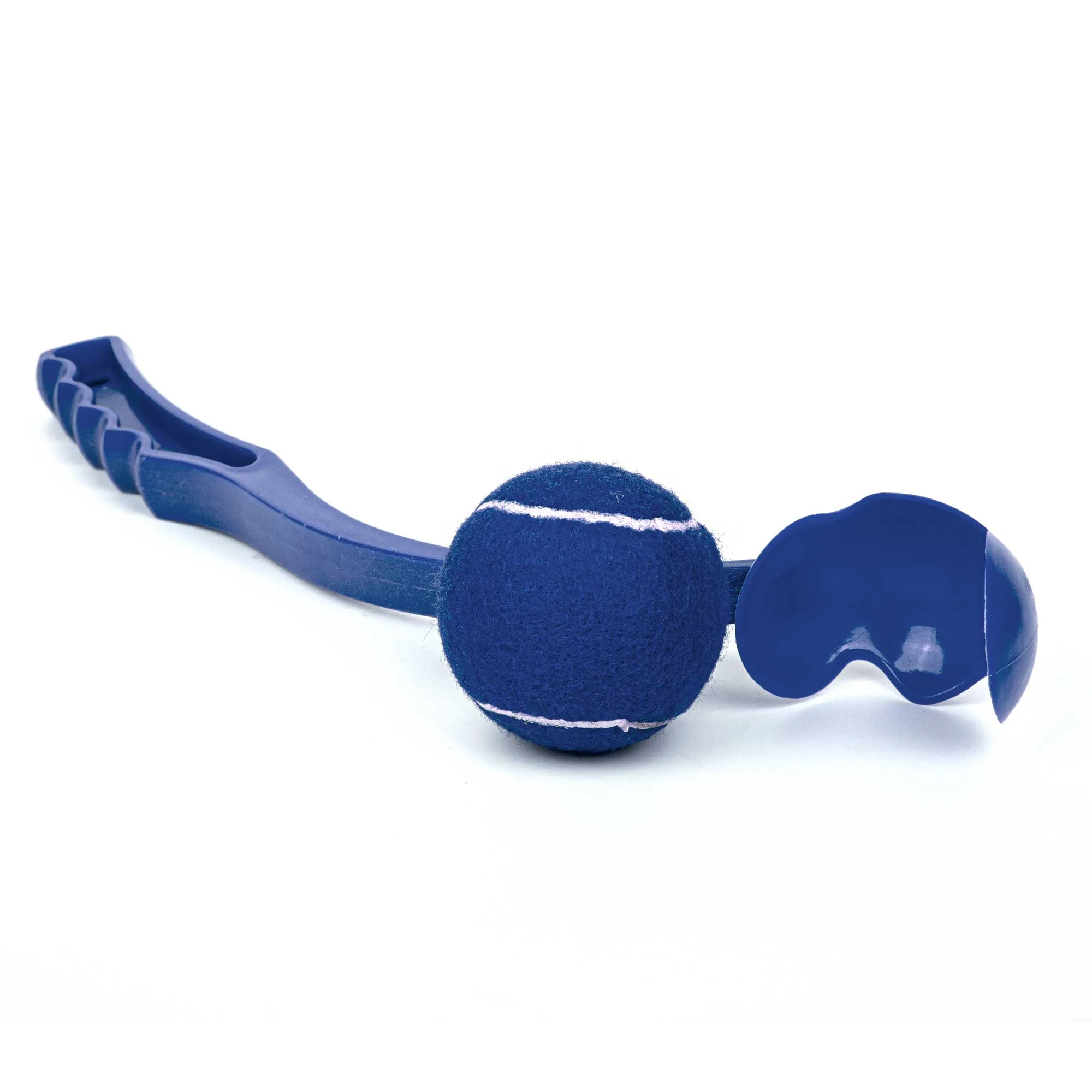 Blue Blank w/Ball