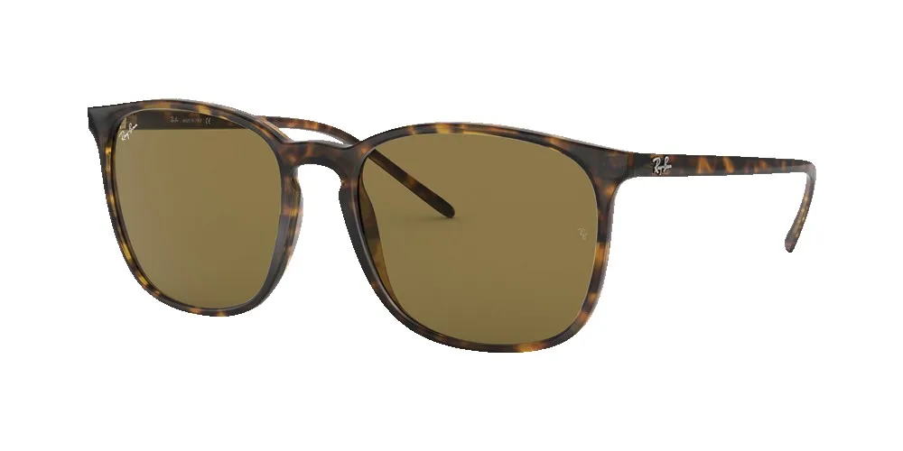 Ray-Ban RB4387 Sunglasses