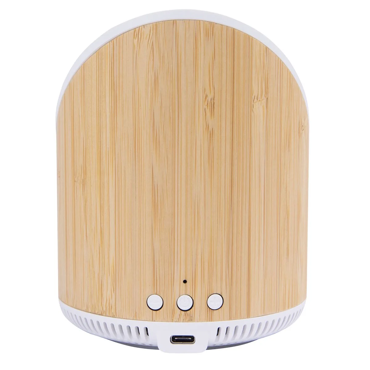25998 BAMBOO Back