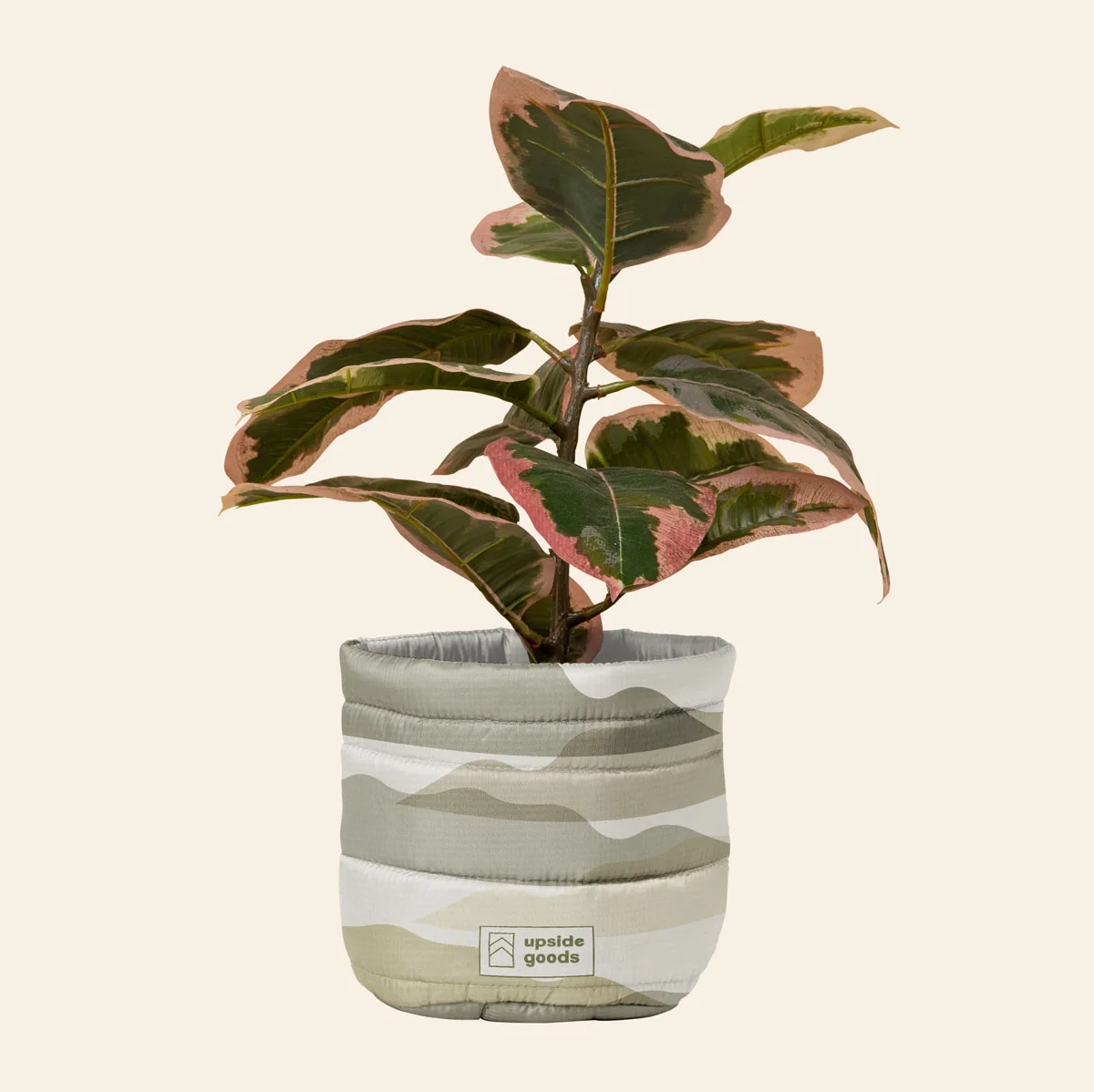 Mary Jane Plant Bag - Puff Puff view 2