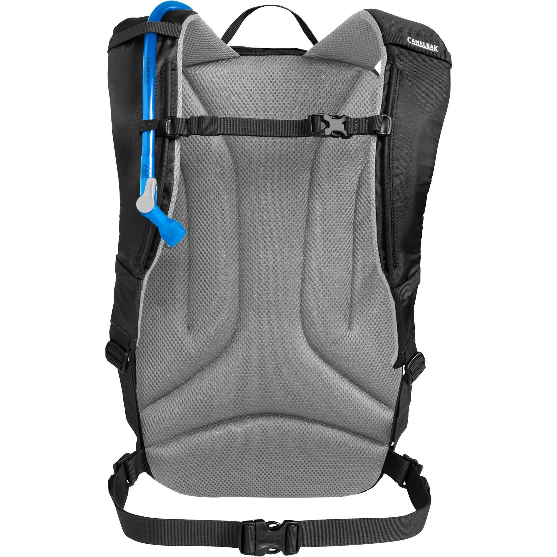 1627-77BKBack