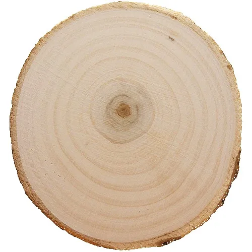 Tree Bark Coaster view 2