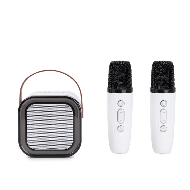 PartyWave DoubleMic Portable Karaoke System view 6