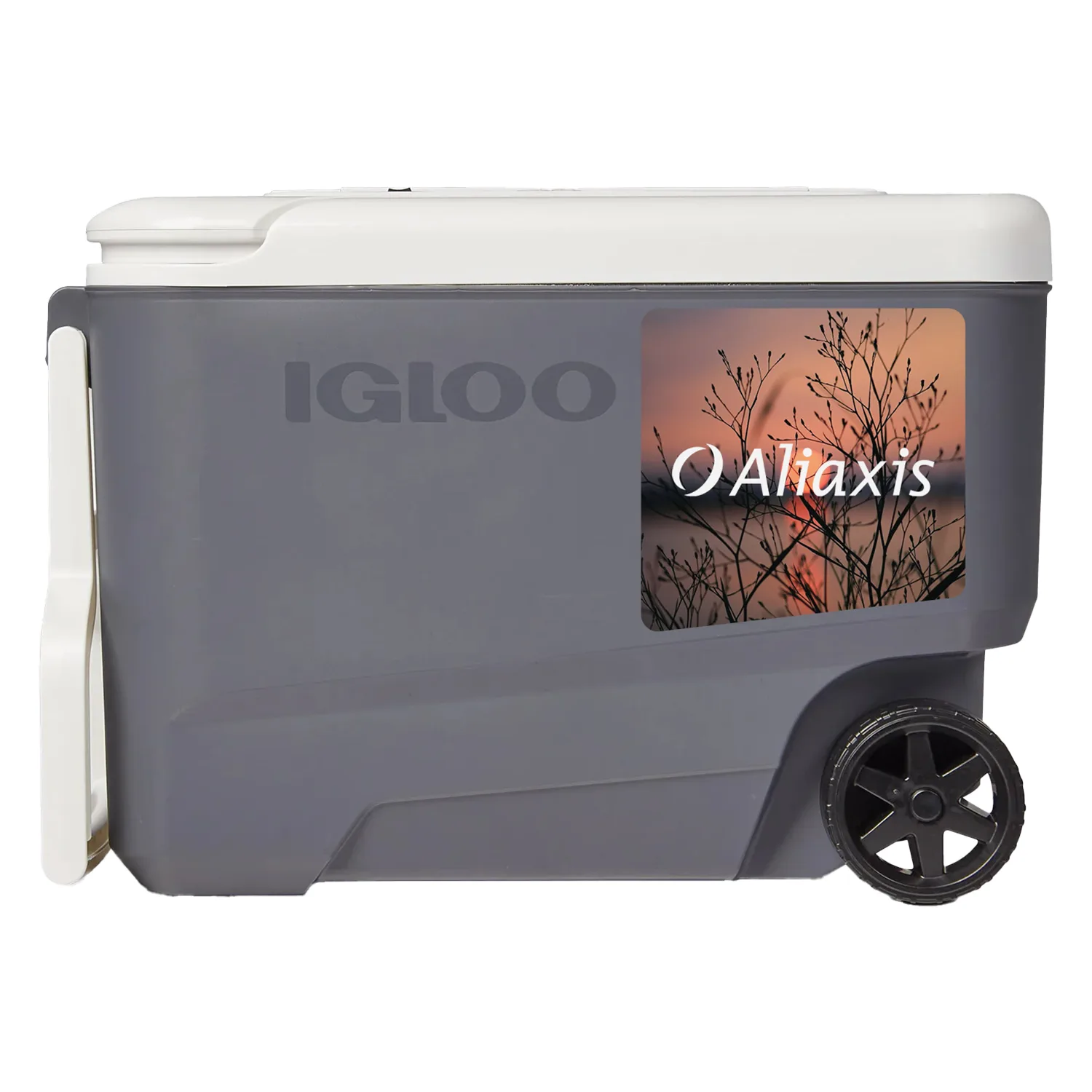 Igloo Versatemp 35 Qt Wheeled Electric Cooler view 3