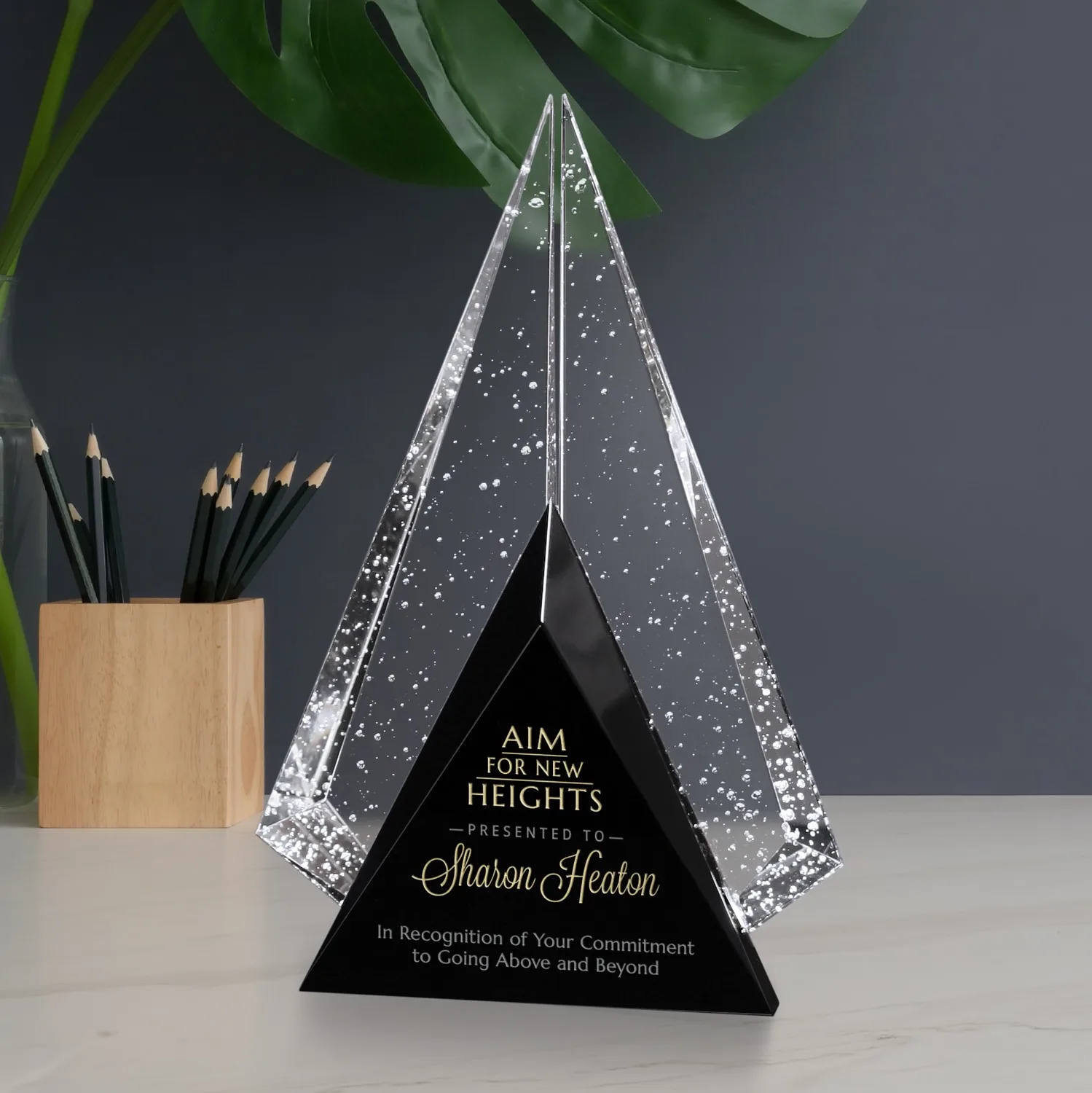 Archer Award 9-1/2" view 2