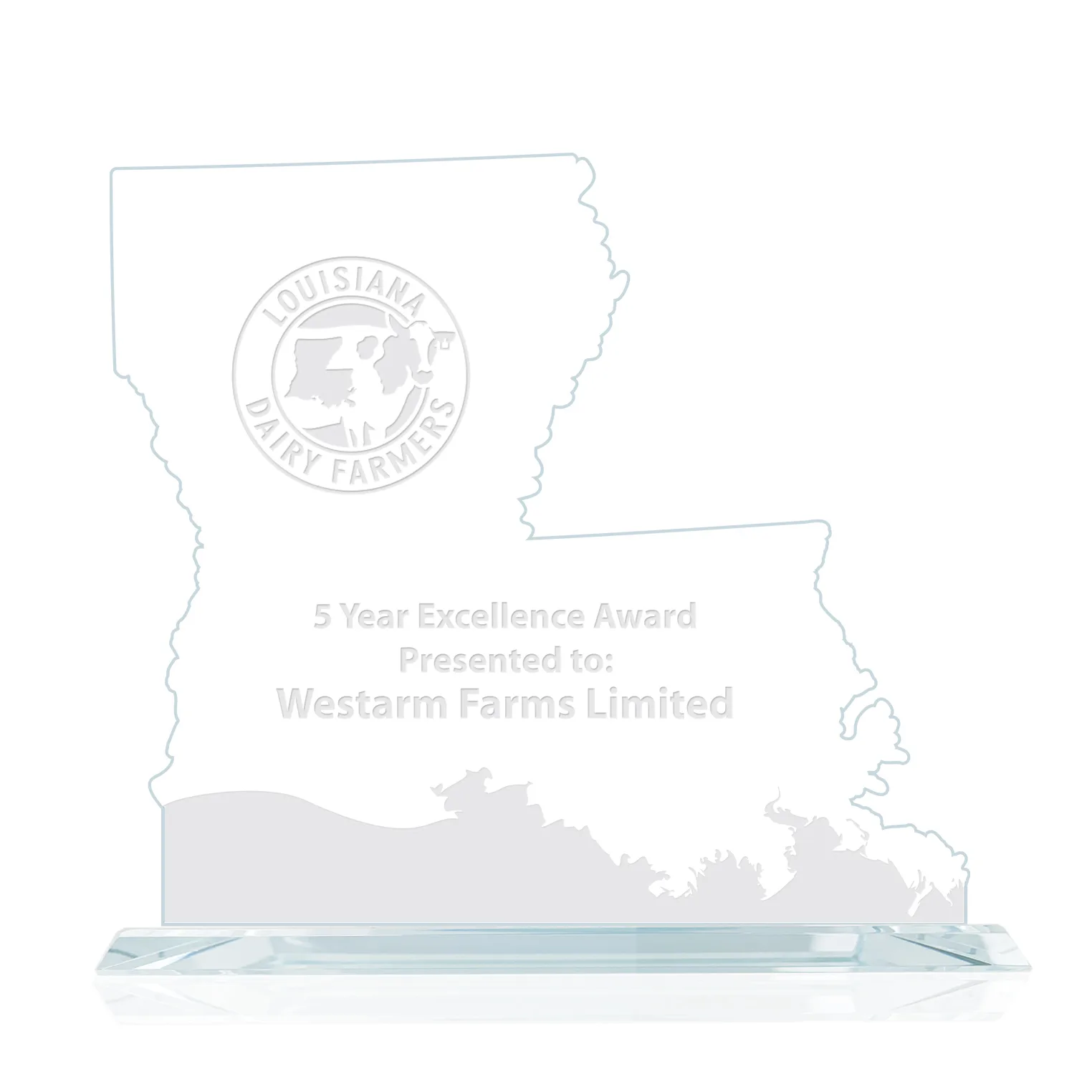 State Map Award -  Louisiana