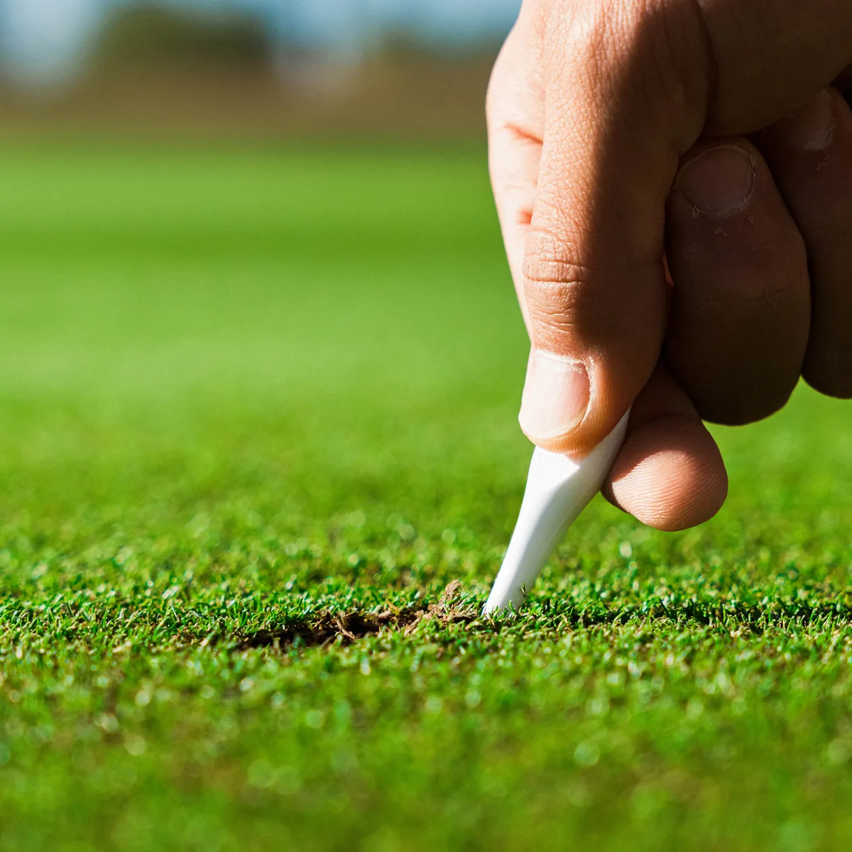 Caddy Splash Divot Tee view 3