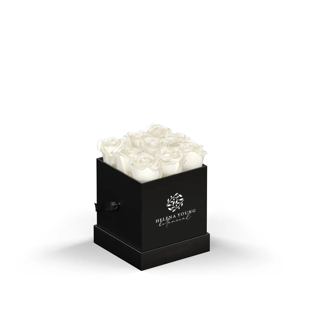 93923 BLKBOX WHT Silkscreen