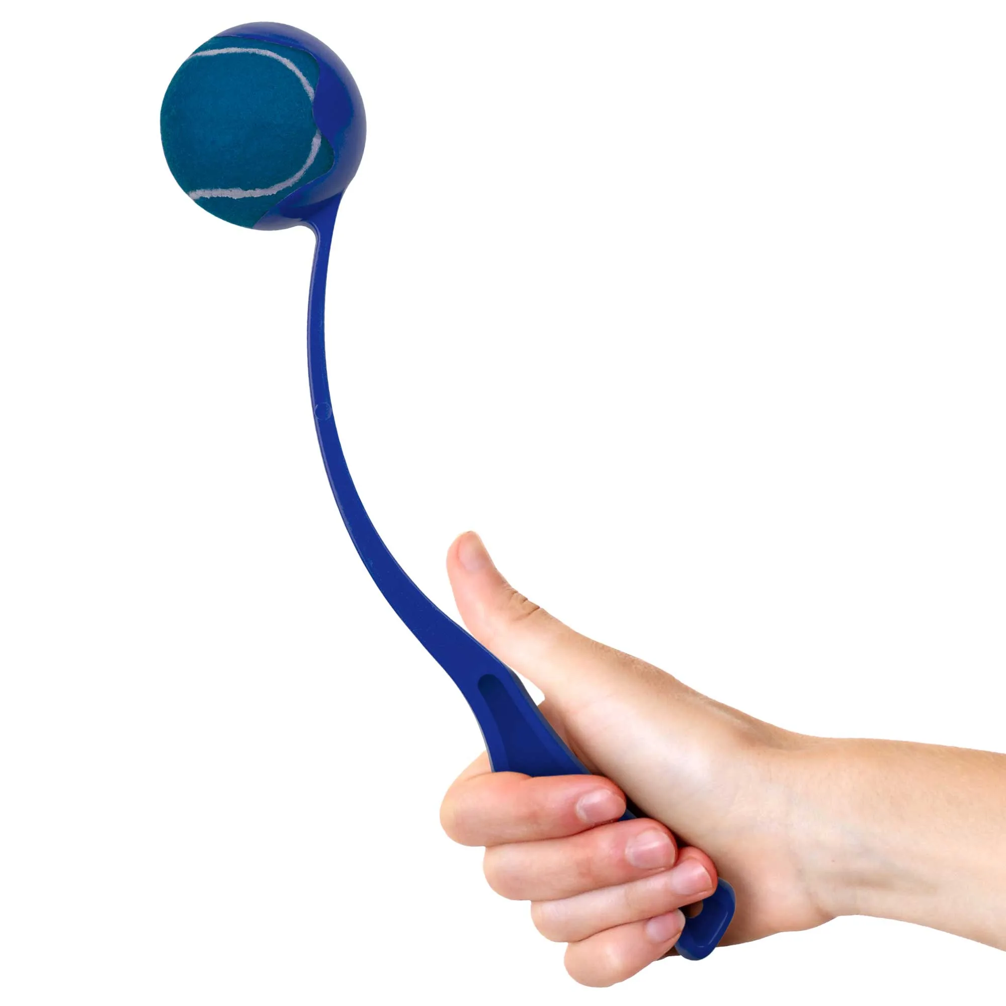 Blue Blank Side
