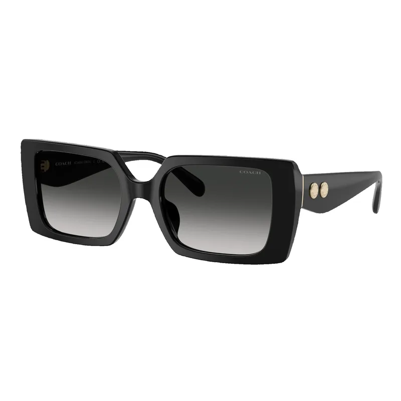 Coach Women's Rogue Oversized Square Sunglasses