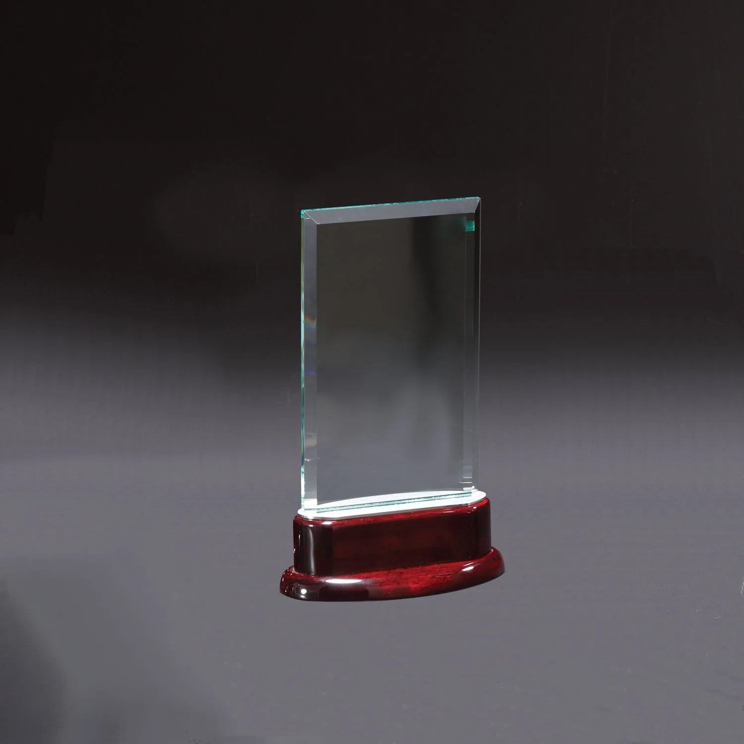 Statute Medium Award view 2