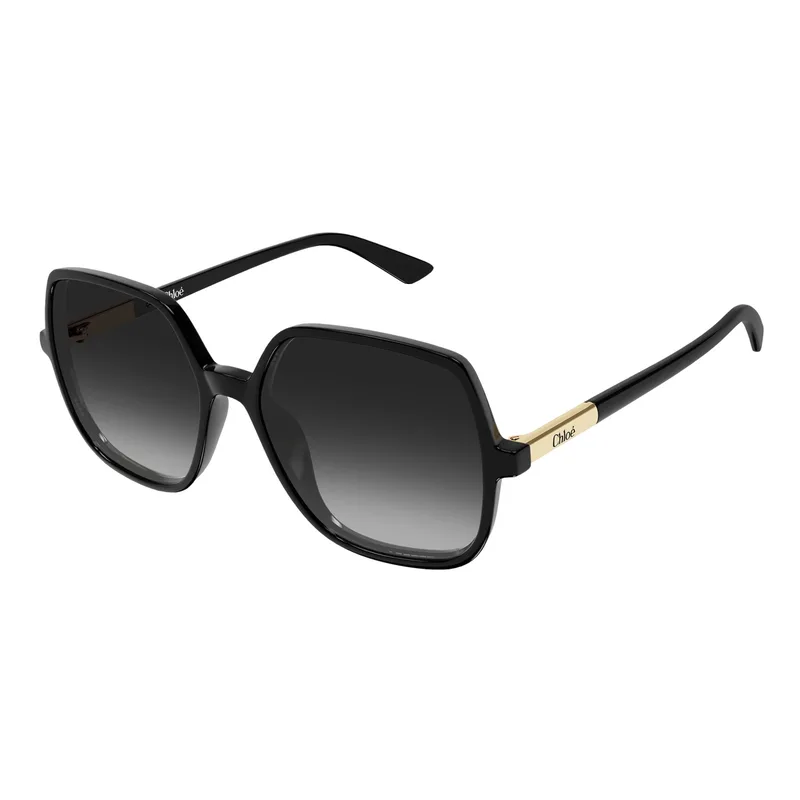 Chloe Women's Judy Sunglasses
