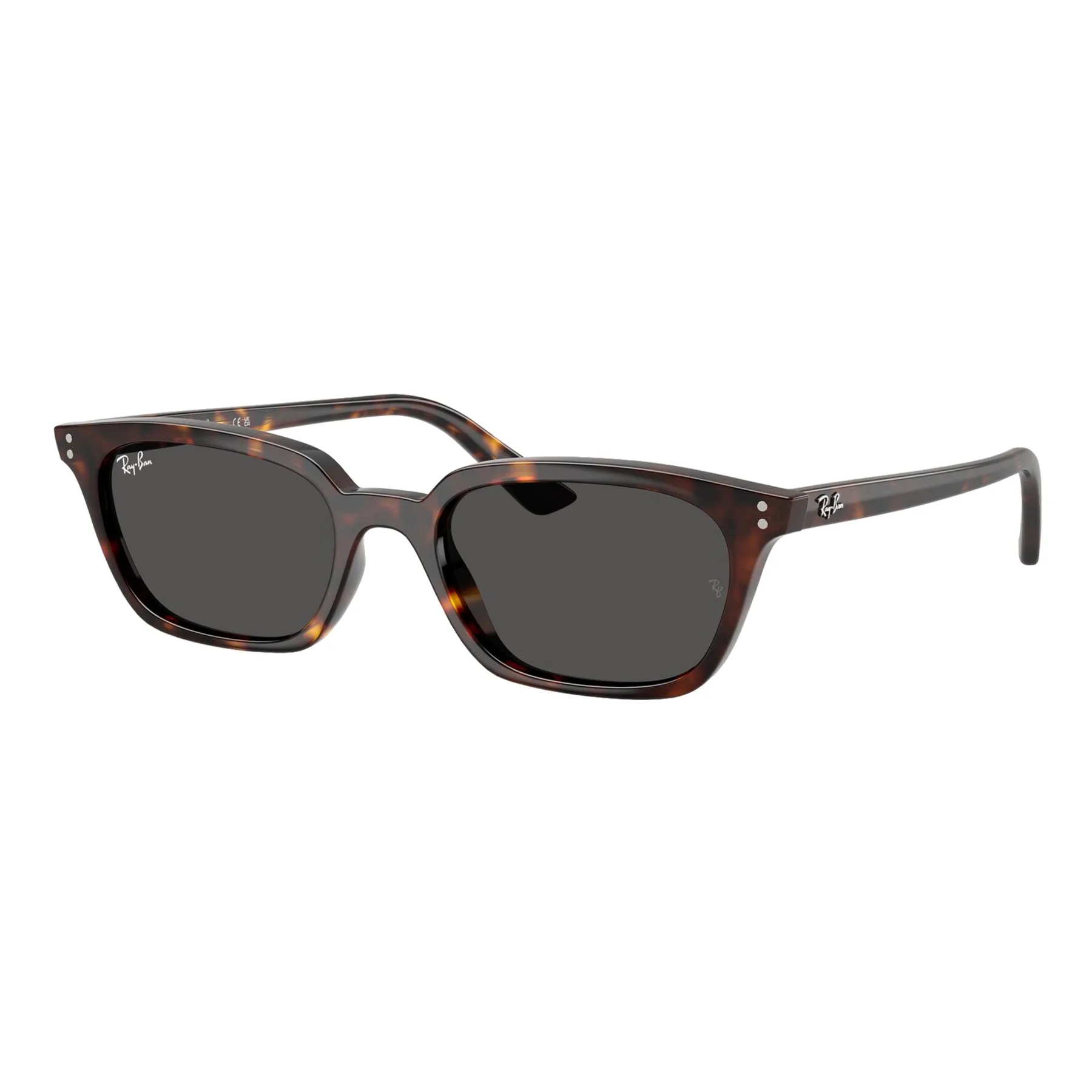 Ray-Ban Zaya Bio-Based Sunglasses
