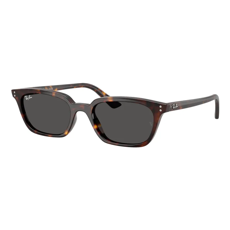 Ray-Ban Zaya Bio-Based Sunglasses