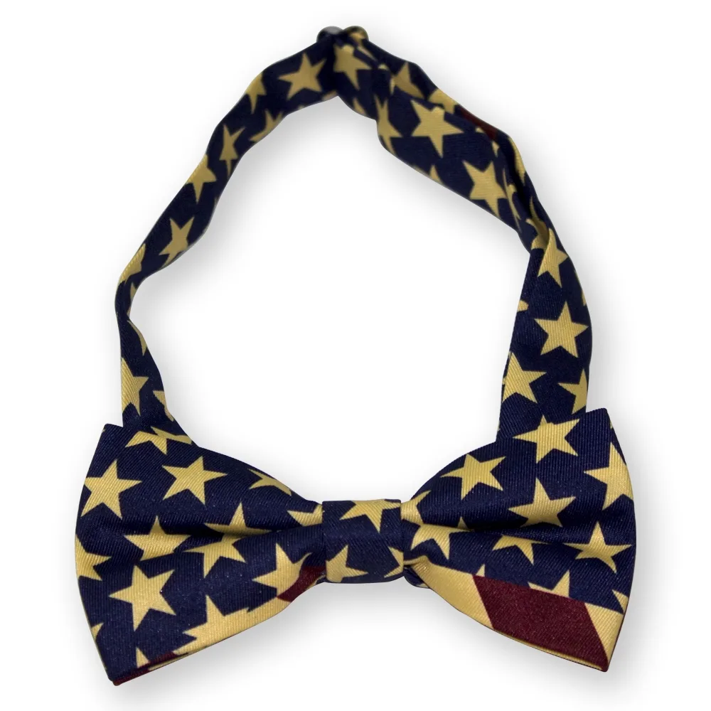 Synthetic Silk Bow Tie