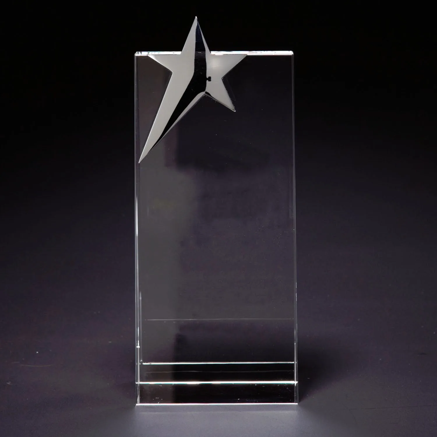 Skyward Star Large Optically Perfect Award view 2