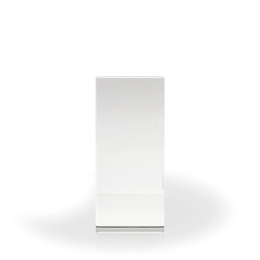 Astor Crystal Award view 2