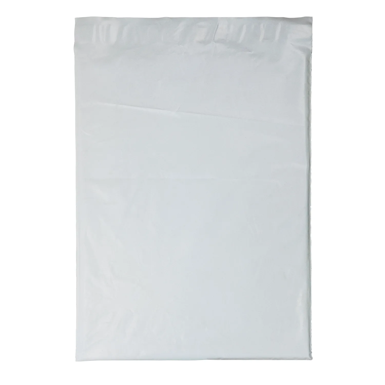 12W x 15½H Plastic Mailer - Flexo Ink Print view 2