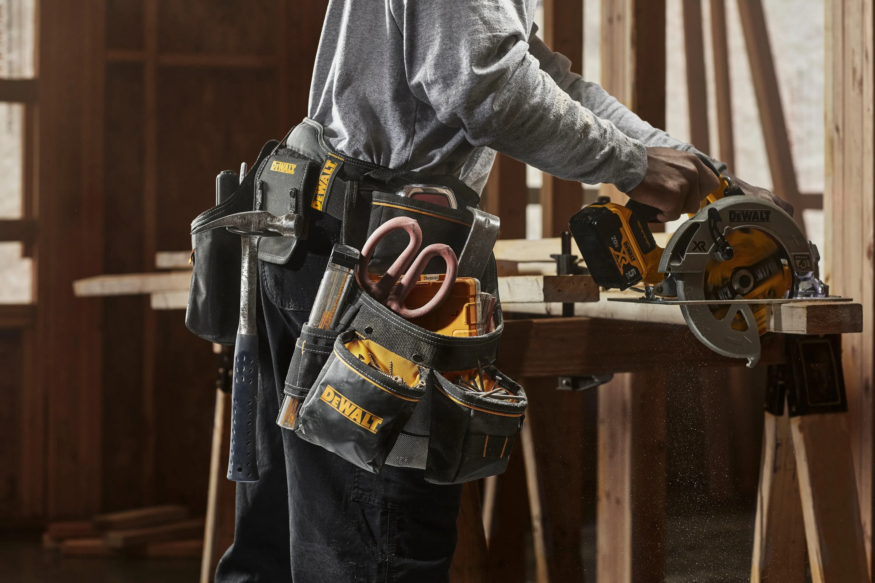 DeWalt Professional Tool Rig