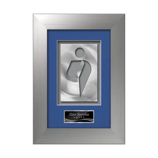 Premier Aquashape™ Award - Silver