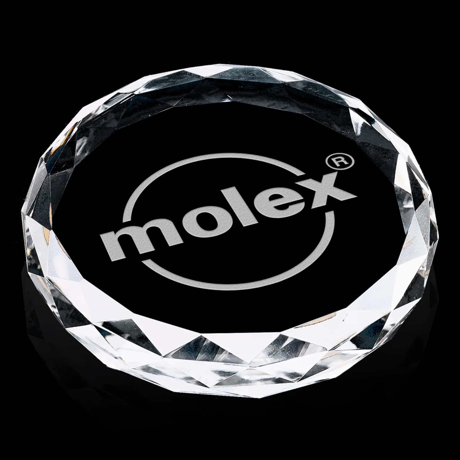 Round Paperweight