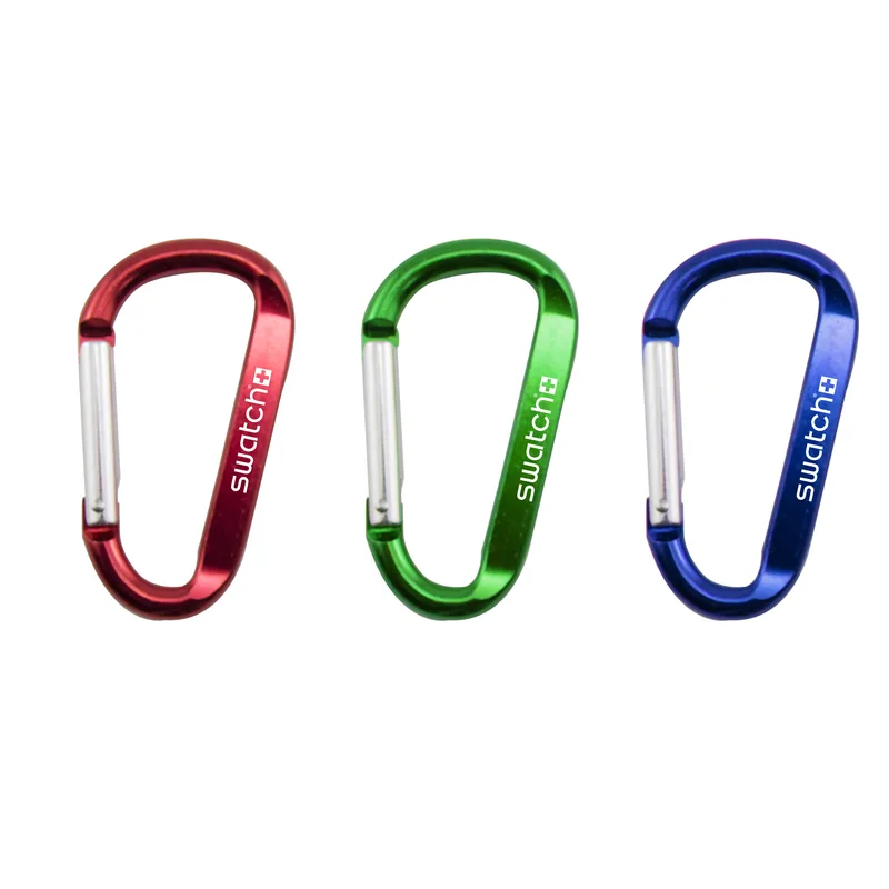 Carabiner Clip Keychain