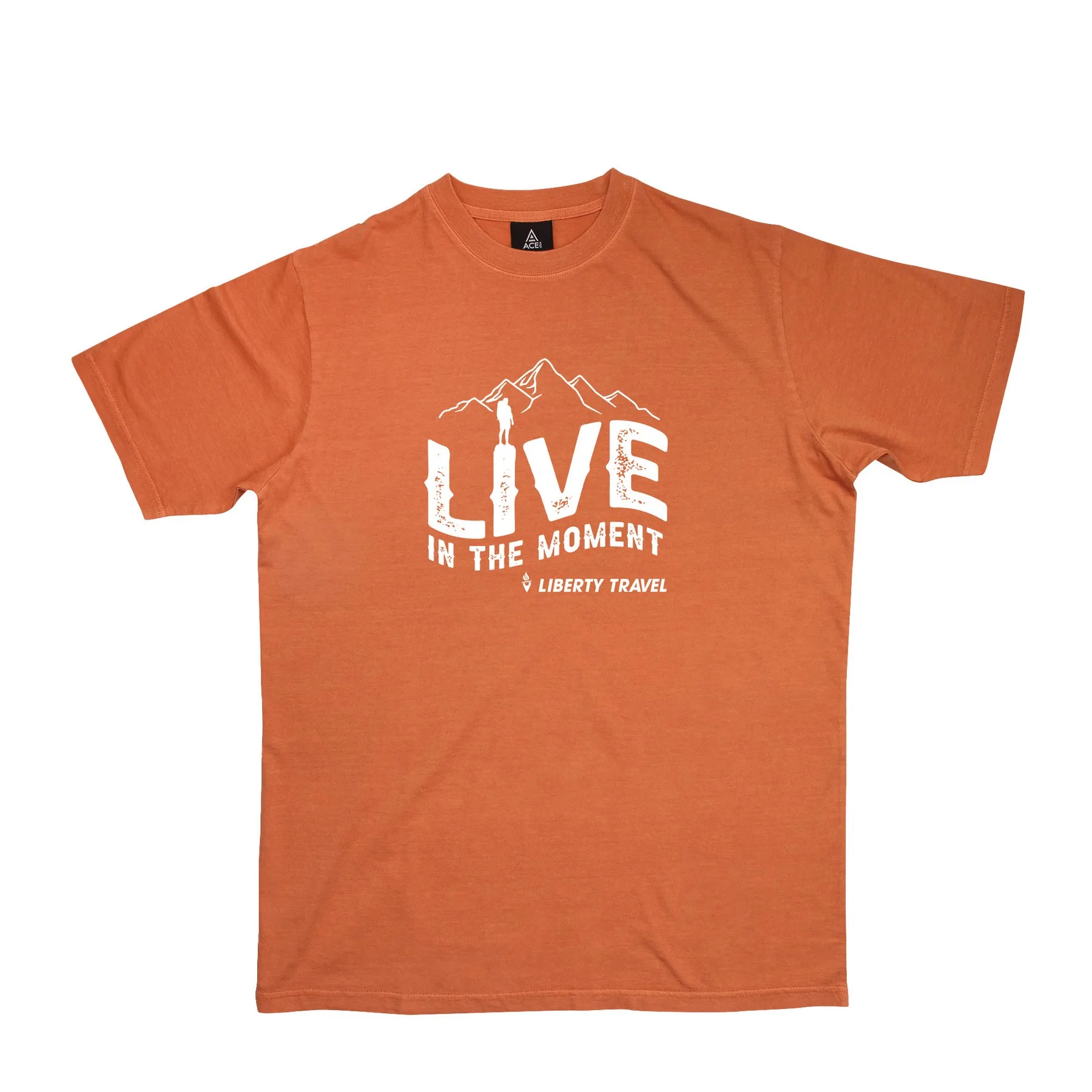 ACE Vintage Wash tee view 5
