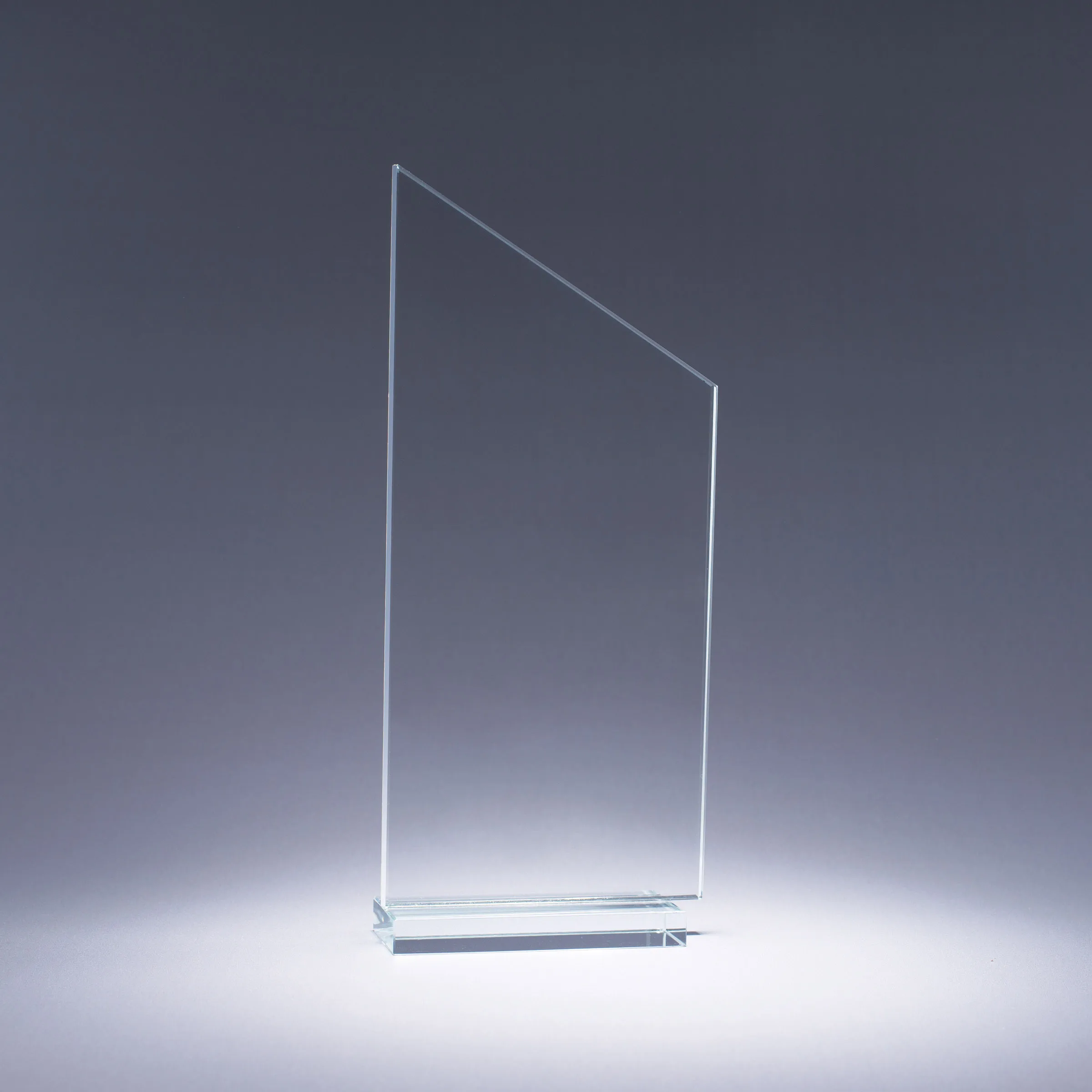 4191 4192 4193 Transcend - BLANK