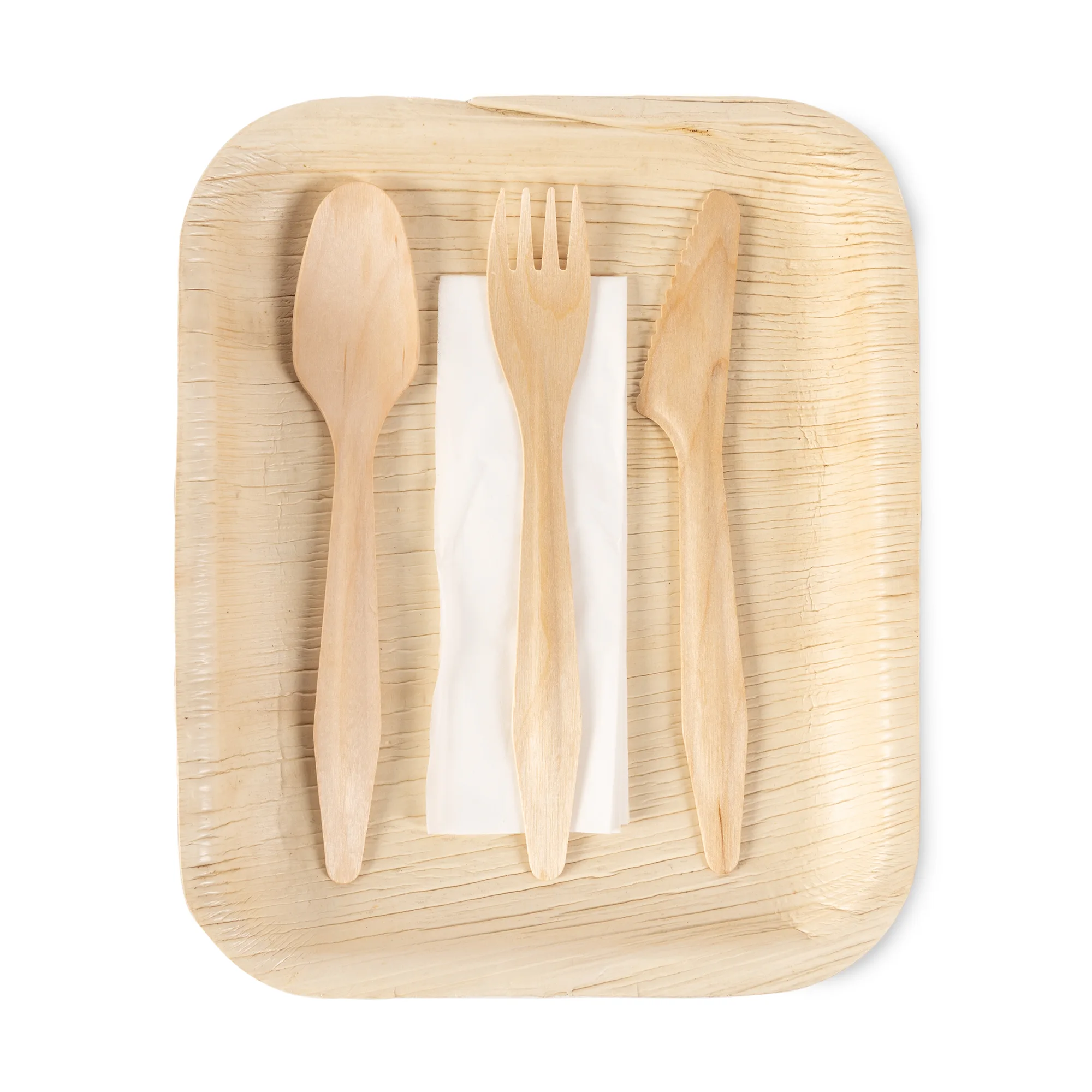 Verterra Plate/Utensil Dinnerware Set view 2