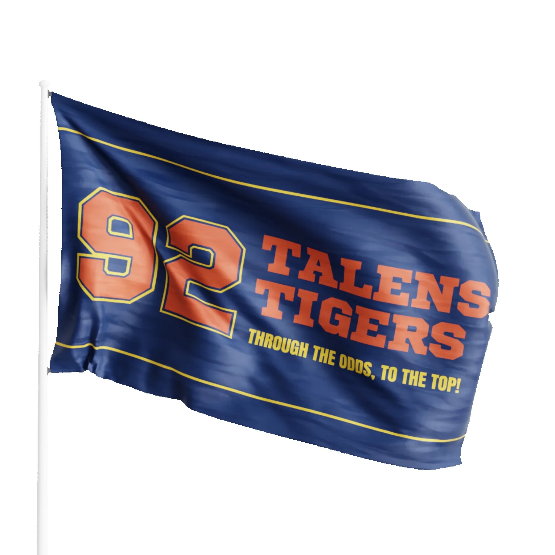 Large Flag (36"x60) Full Color view 2