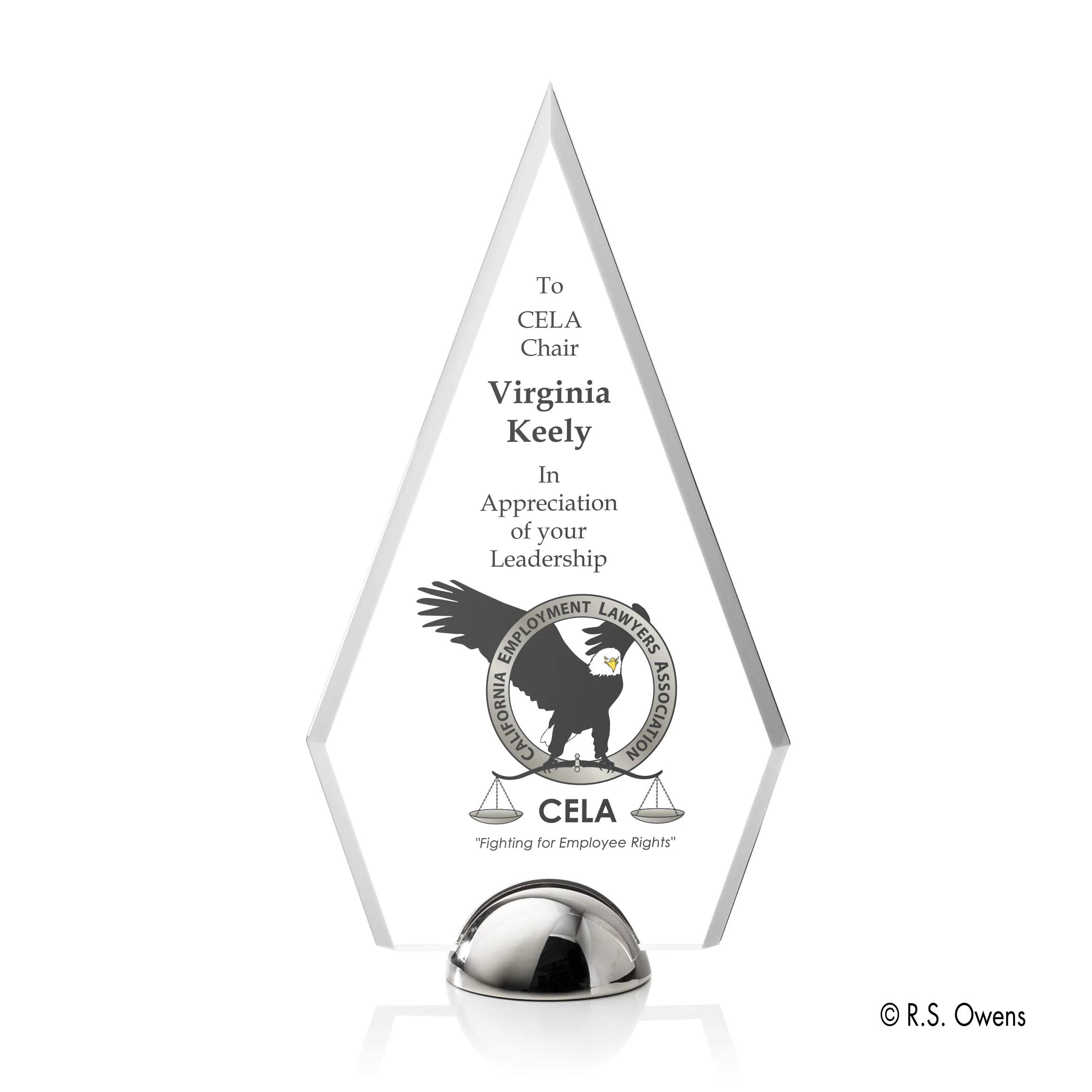 VividPrint™, Silver