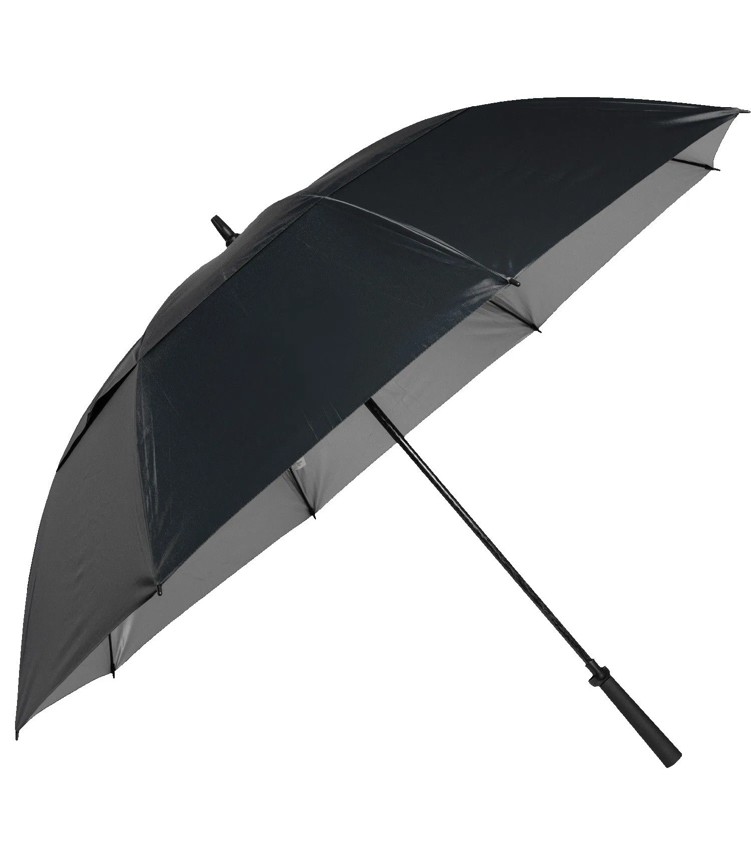 The Raydefyer Umbrella view 2
