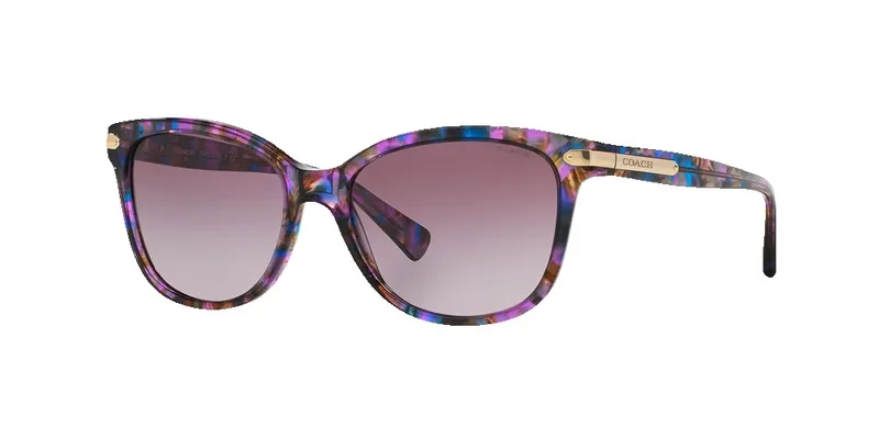 Coach Women's HC8132 Sunglasses